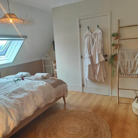 Le Duplex D'albert D'exception A *